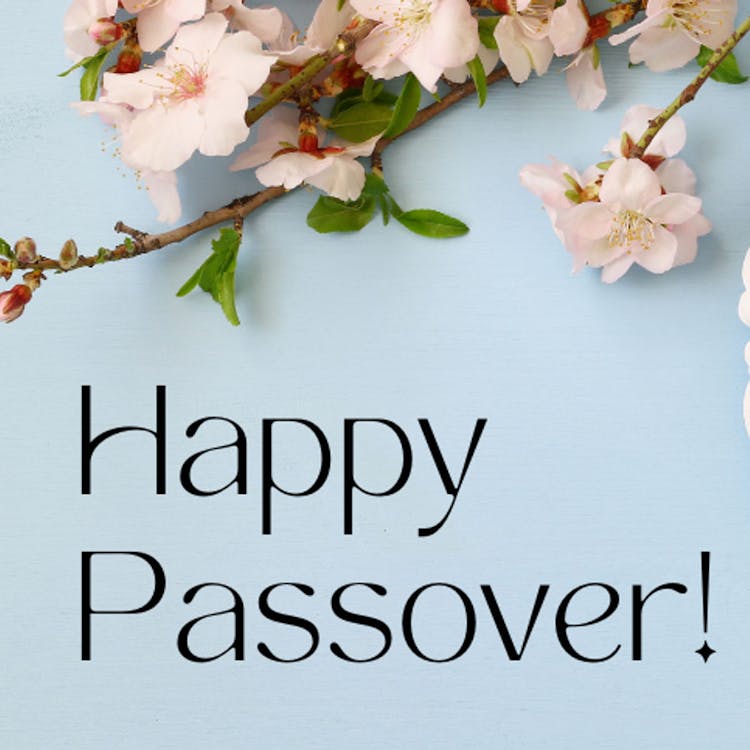 Passover Friendly Family Meal  image