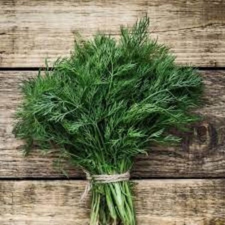 Dill image